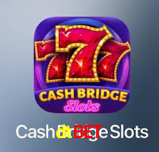 dtbet